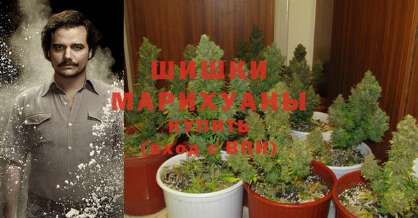 соль курить ск Каменногорск