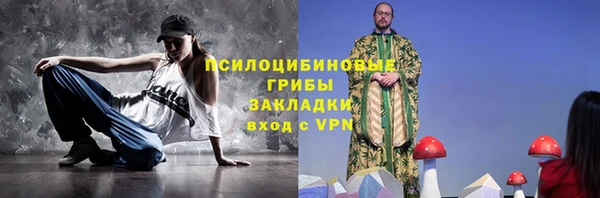 гидропоника Каменка