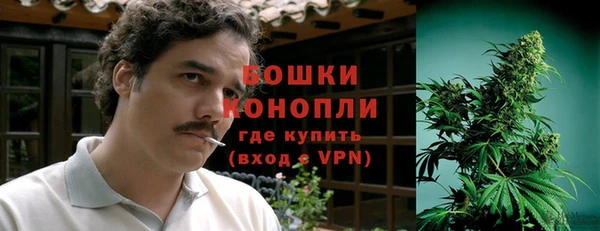 гидропоника Каменка