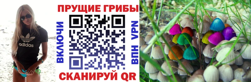 Псилоцибиновые грибы прущие грибы  Купить закладки  Владимир 